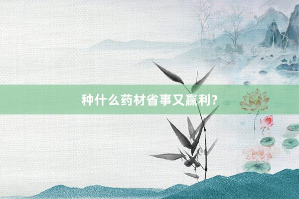 种什么药材省事又赢利？