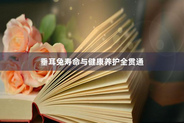 垂耳兔寿命与健康养护全贯通