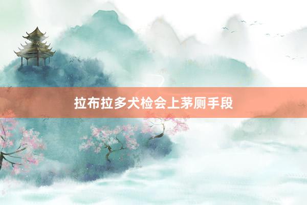 拉布拉多犬检会上茅厕手段
